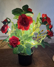 Afbeelding in Gallery-weergave laden, Rozen in pot met ledverlichting H26cm

