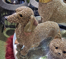 Afbeelding in Gallery-weergave laden, Glitter teckel

