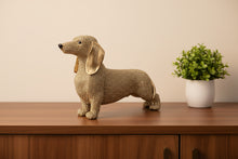 Afbeelding in Gallery-weergave laden, Glitter teckel
