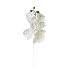 Afbeelding in Gallery-weergave laden, Kunst orchidee Soft Touch H108cm
