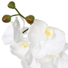 Afbeelding in Gallery-weergave laden, Kunst orchidee Soft Touch H108cm
