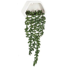 Afbeelding in Gallery-weergave laden, Hang bloempot kunst vetplantje
