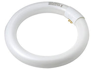 Circline T8 TL lamp