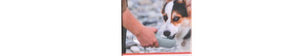 Draagbare Luxe drinkfles honden
